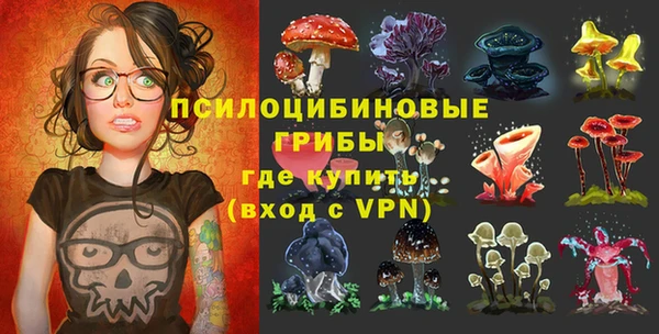 хмурый Алексеевка